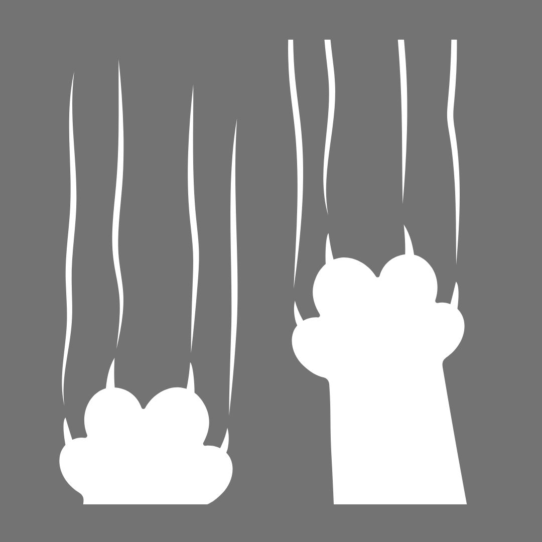 Scratch Resistance