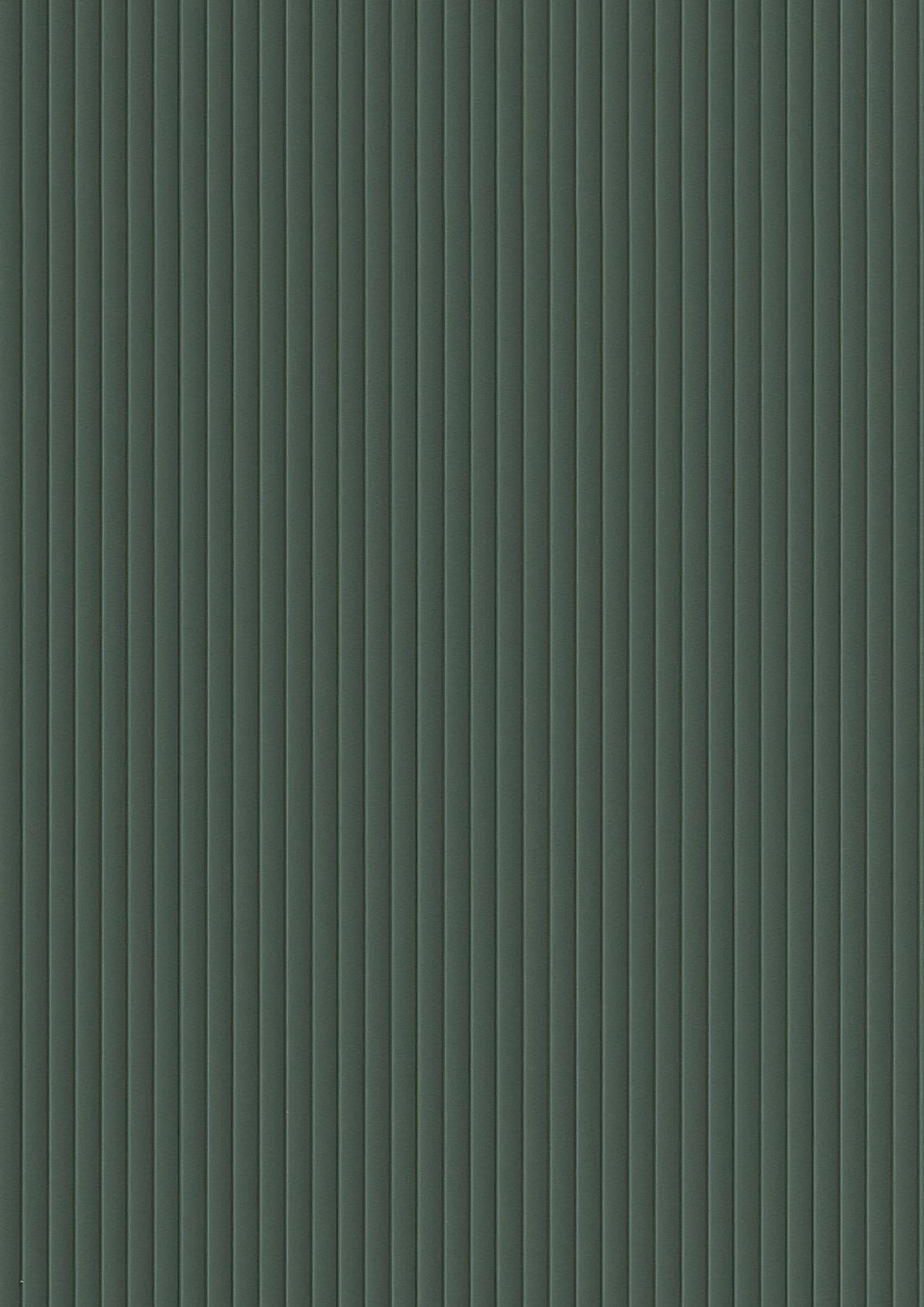 KOMBU GREEN