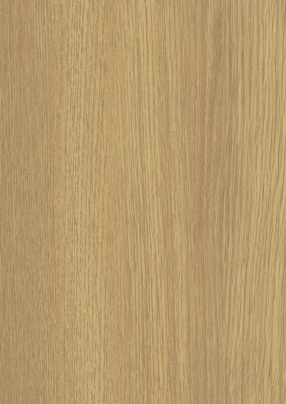 RUSTER ELM