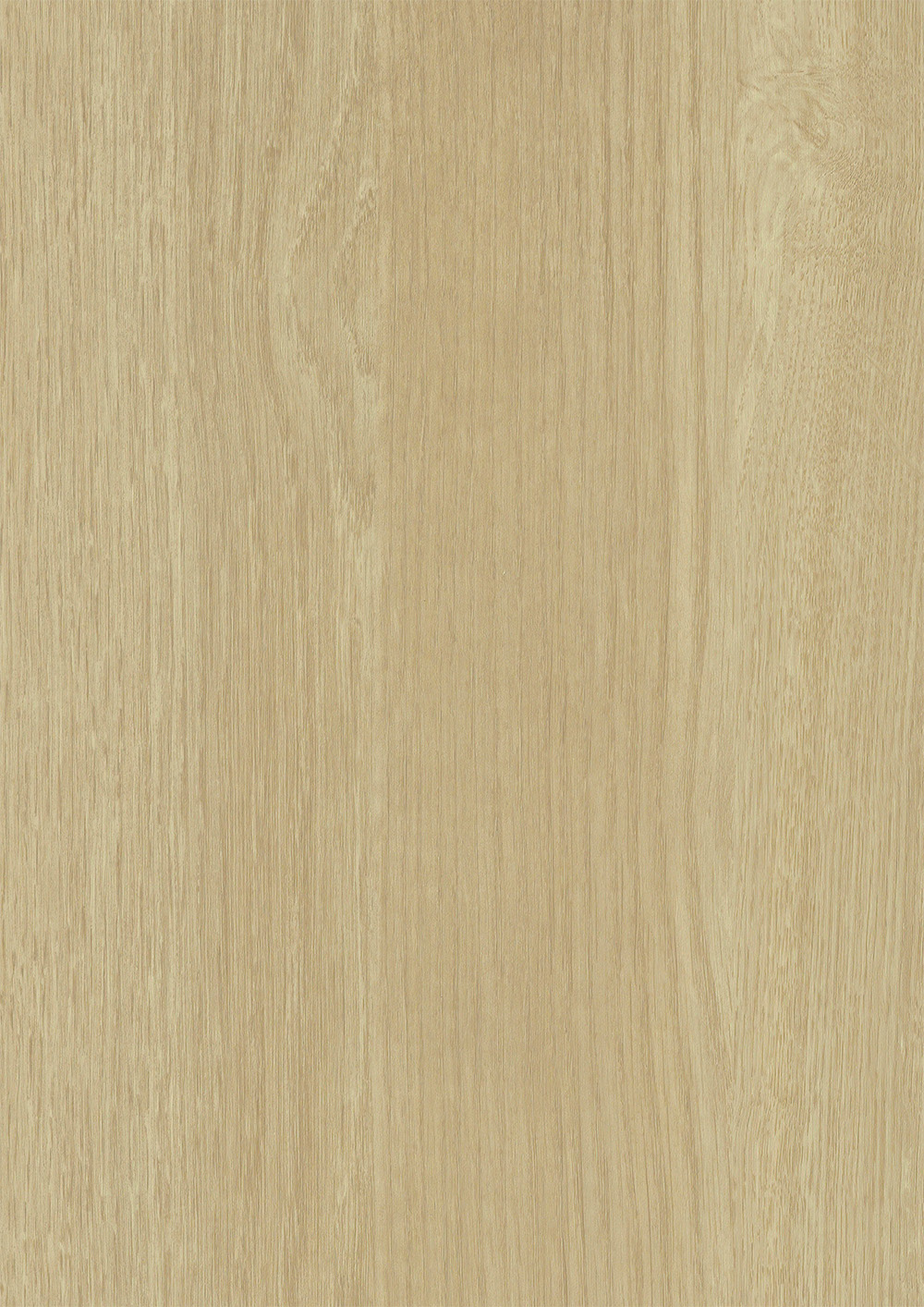 RUSTER ELM