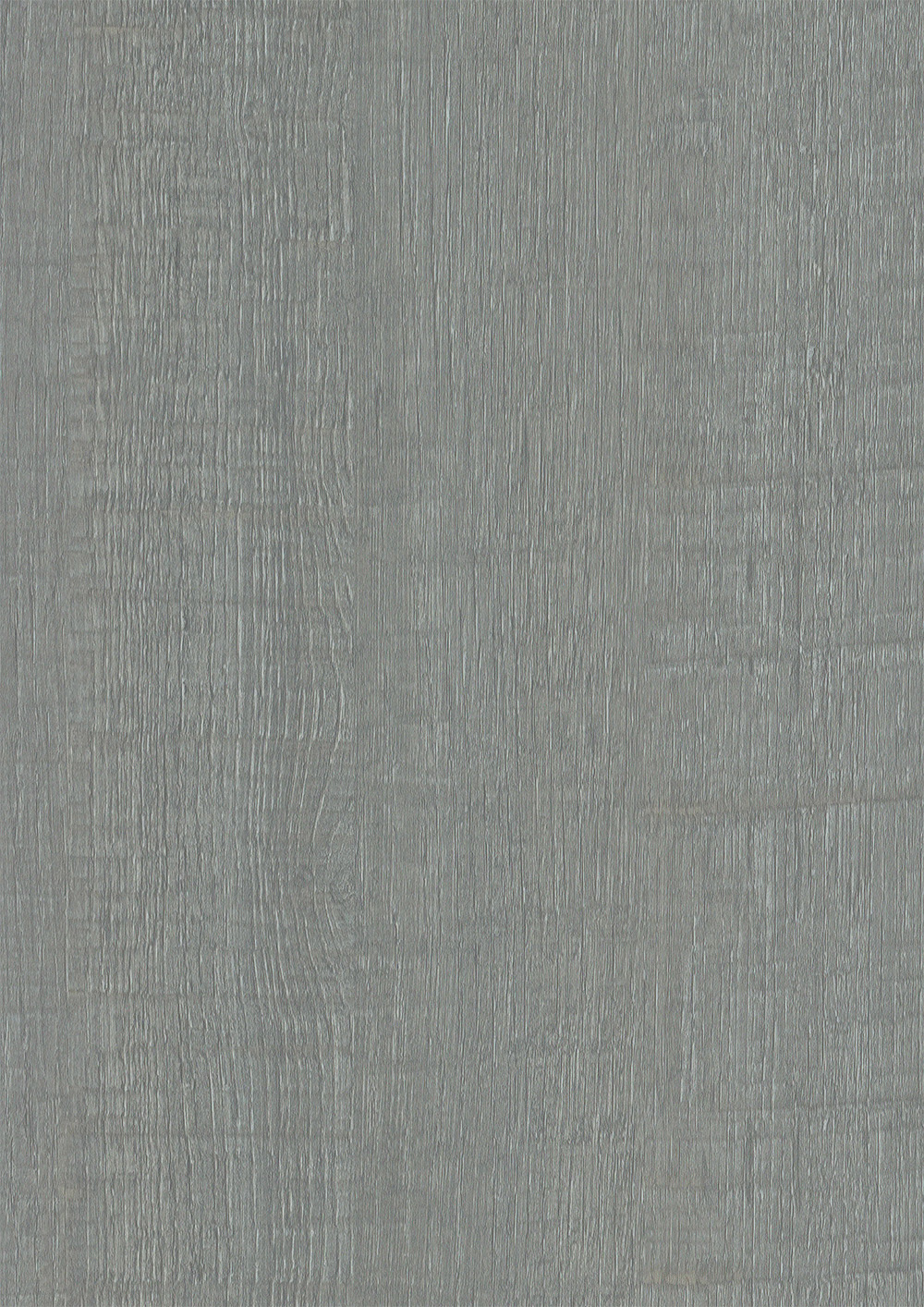 TURKEY OAK