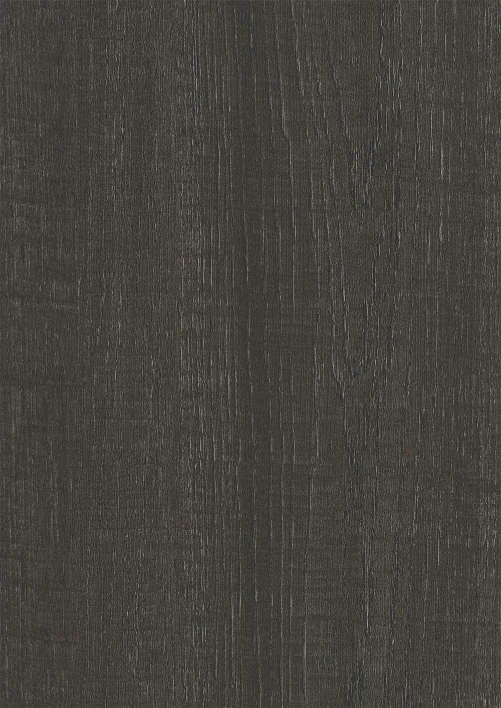 TURKEY OAK