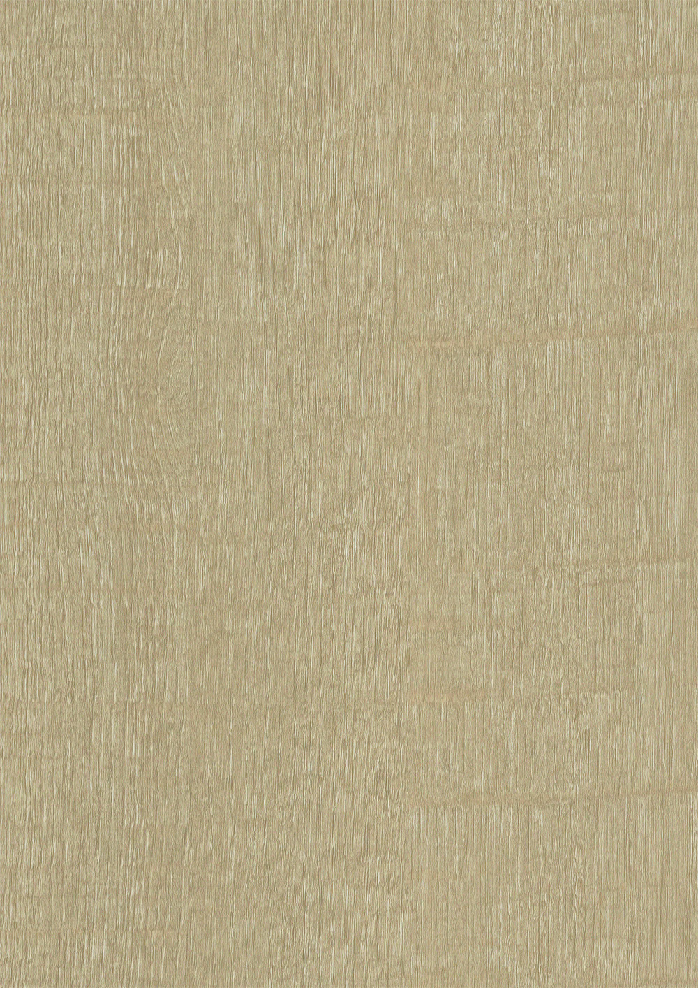 TURKEY OAK