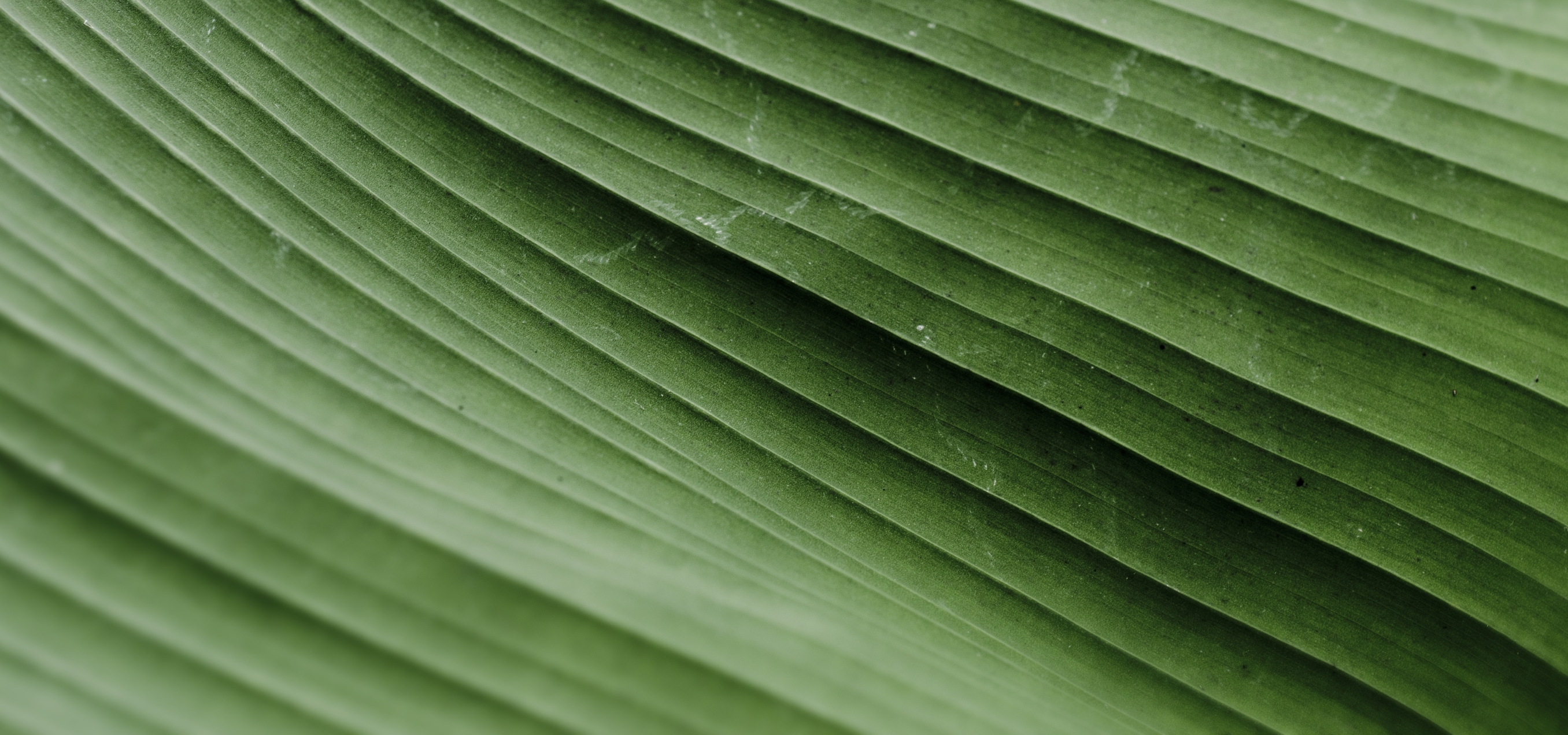 Sustainability